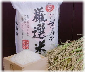 ��茧��Y�ЂƂ߂ڂ�